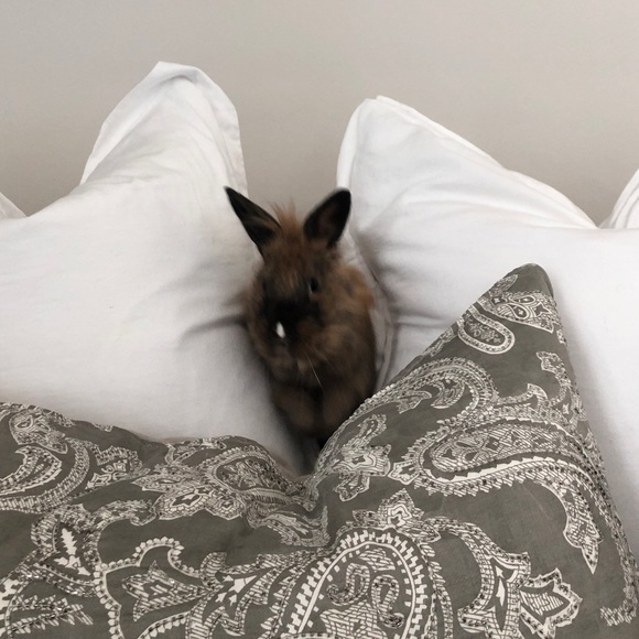 Meet your Posher, Erin - Picture 4 of 5